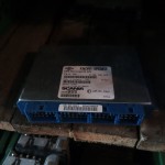 IMG_20250917_124522_048